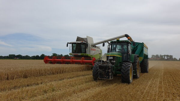 Dieser Cuxhavener trägt einen wichtigen Teil zum Bier auf dem Deichbrand-Festival bei