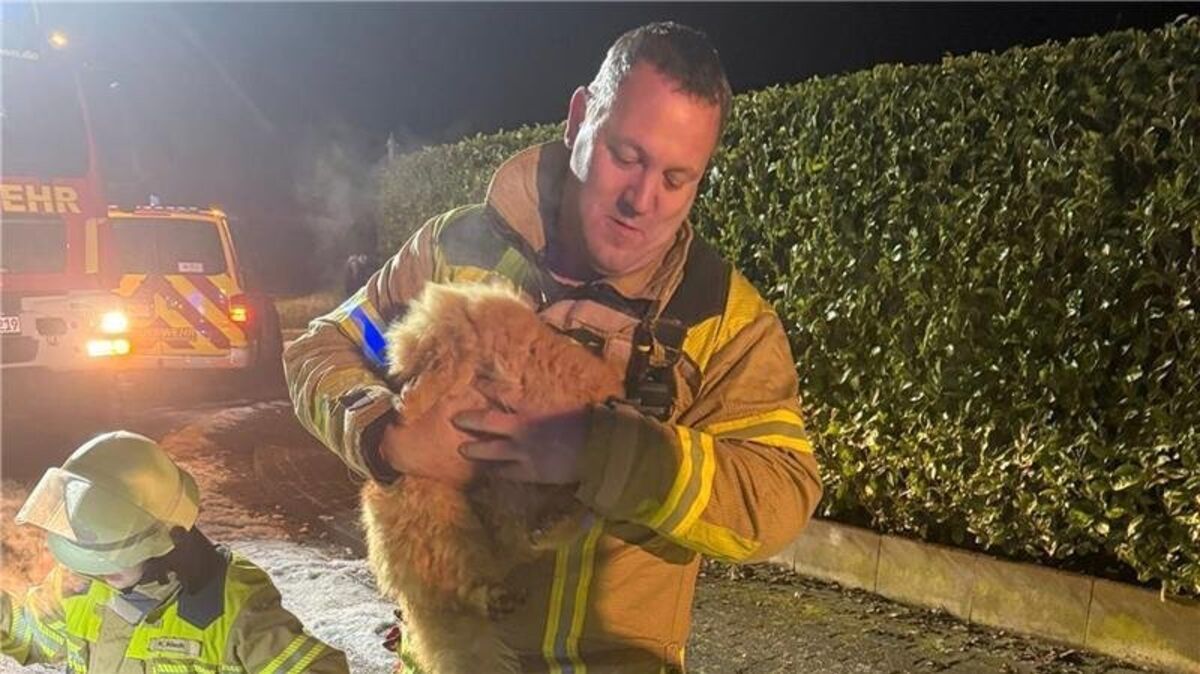 Wiepenkathens Ortsbrandmeister Jörg Bastian hält die gerettete Katze im Arm. Foto: Feuerwehr