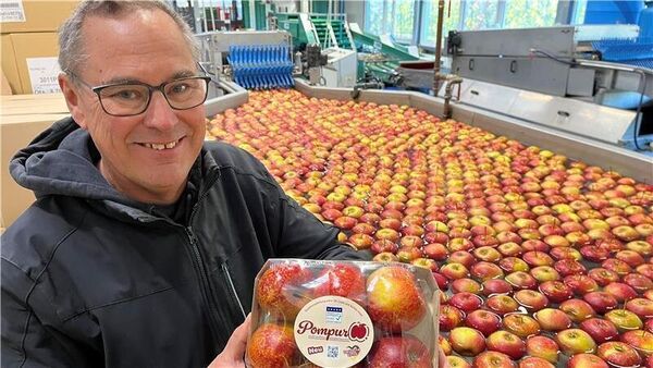 Pompur-Apfel aus dem Alten Land begeistert Allergiker in ganz Deutschland