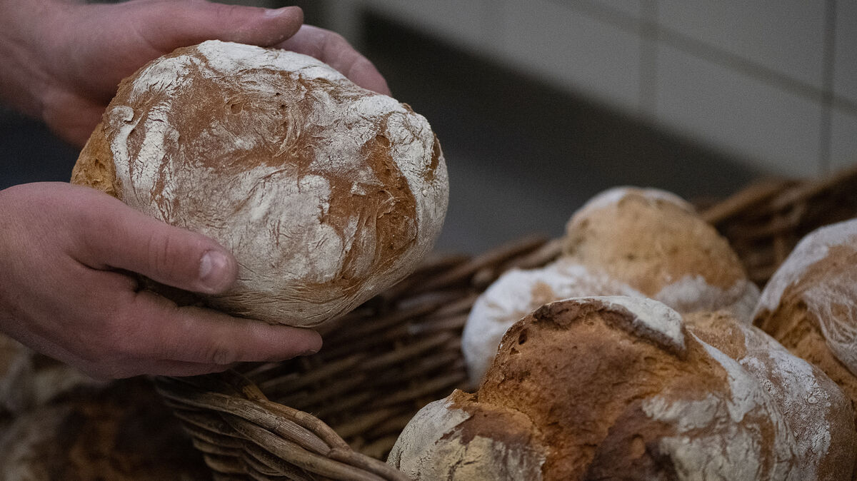 Müssen die Insulaner und ihre Gäste auf Bäcker-Brötchen, Brot und Kuchen demnächst verzichten? Die einzige Handwerksbäckerei steht vor dem Aus.