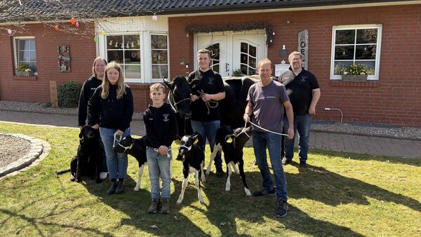 Drillings-Sensation im Kuhstall: Sina, Simba und Samba sind die Stars in Lamstedt