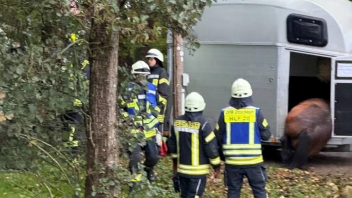 Einsatzkräfte der Freiwilligen Feuerwehr Otterndorf befreien in der Müggendorfer Straße ein Pferd aus einem Pferdeanhänger. Foto: Feuerwehr