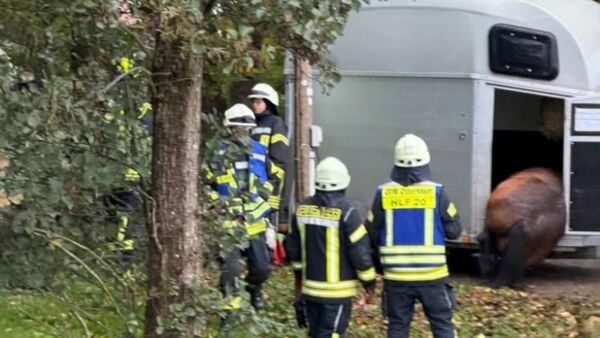 Tierrettung in Otterndorf: Feuerwehr befreit Pferd mit Spezialgerät aus Anhänger