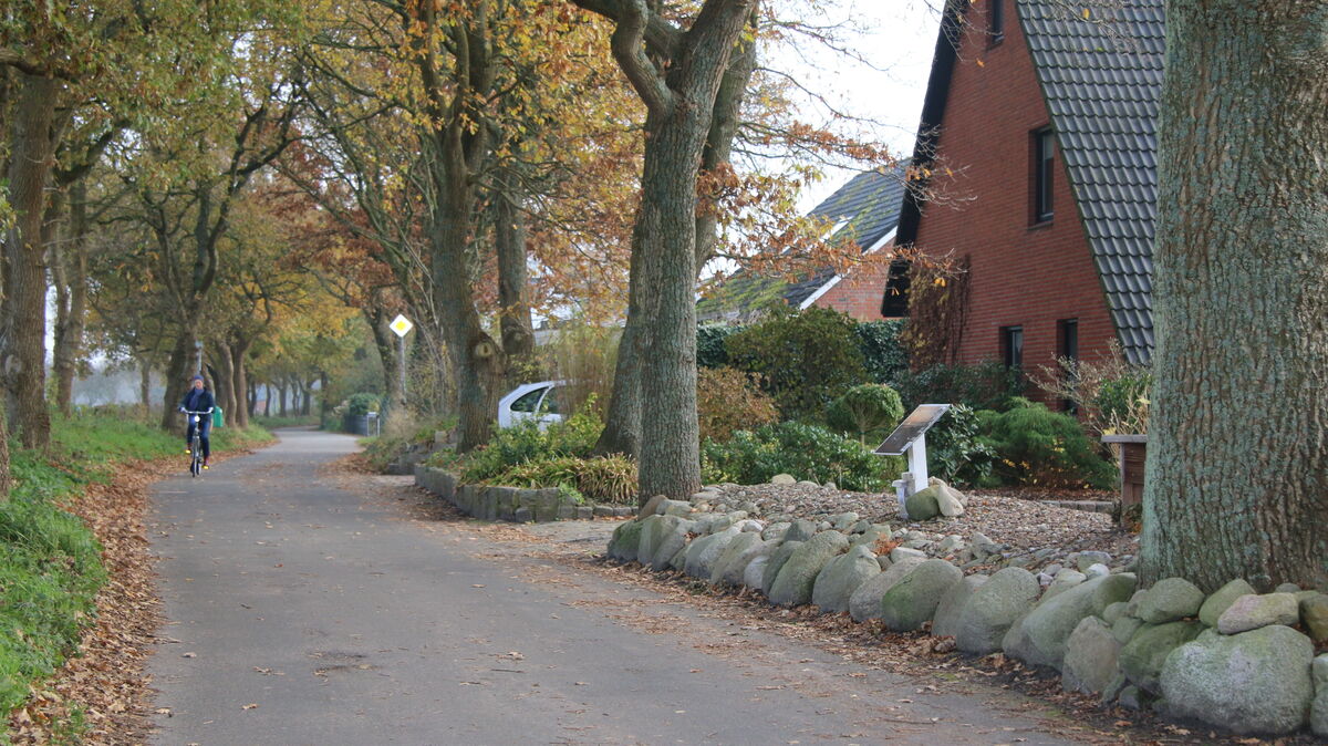 Die Straßenverkerhsbehörde der Stadt Cuxhaven hat sich mit dem Thema Einbahnstraßenregelung für den Butendieksweg in Sahlenburg beschäftigt. Foto: Potschka