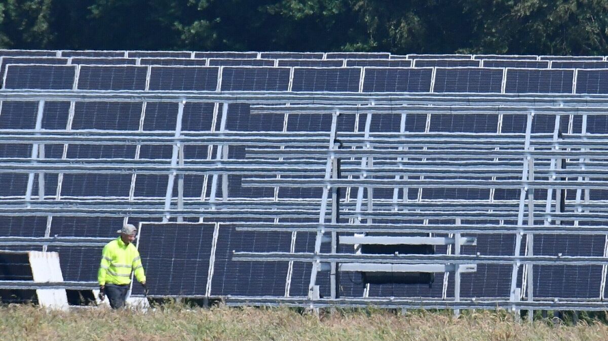 Mehr als 16.000 Solarmodule sorgen dafür, dass in Hechthausen Energie erzeugt wird und ins Netz eingespeist werden kann. Foto: Schröder