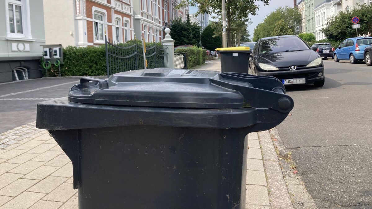 Diese Tonnen stehen richtig: Bei der Restmülltonne sollte die Griffleiste in Fahrbahnrichtung zeigen, bei den Gelben Tonnen ist es (zumindest dort, wo zur Leerung ein Seitenlader-Fahrzeug eingesetzt wird) genau umgekehrt: In diesem Fall muss die Deckelöffnung (beziehungsweise der "Kamm") zur Straße zeigen. Foto: Koppe