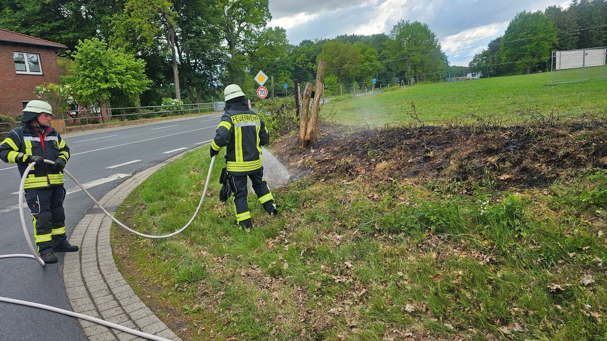 Die gesamte Fläche wird nach Glutnestern überprüft und reichlich bewässert, um ein erneutes Aufflammen zu verhindern. Foto: Lange