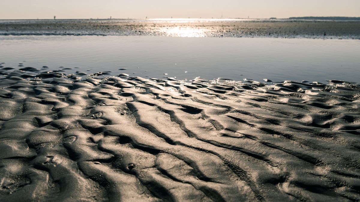 Neben einem Stopp der Kreislaufbaggerei in der Elbe wollen Bund und Länder auch ein weiteres Auflanden des Watts vor Cuxhaven verhindern. Der durch den Leitdamm verhinderte natürliche Erosions- und Sedimentationsprozess soll von Saugbaggern übernommen werden. Foto: Assanimoghaddam / dpa