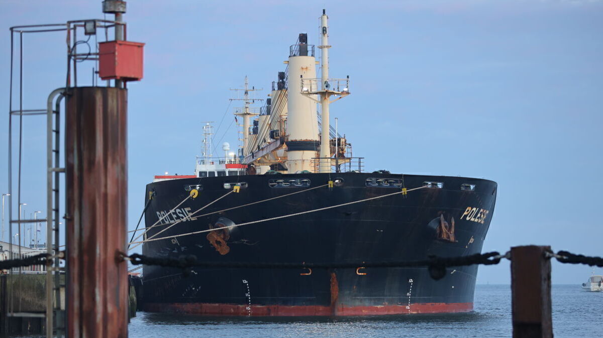 Das Frachtschiff "Polesie" kam in der vergangenen Woche nach Cuxhaven. Foto: dpa