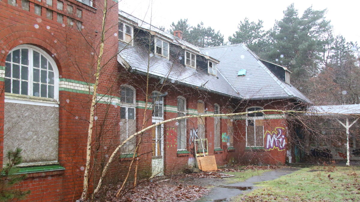 Von den schützenden Brettern, mit denen das unter Denkmalschutz stehende Mathilde-Emden-Haus einst „vernagelt" wurde, sind etliche brachial entfernt worden. Die dahinter befindlichen Türen und Fenster wurden  aufgebrochen. Foto: Potschka
