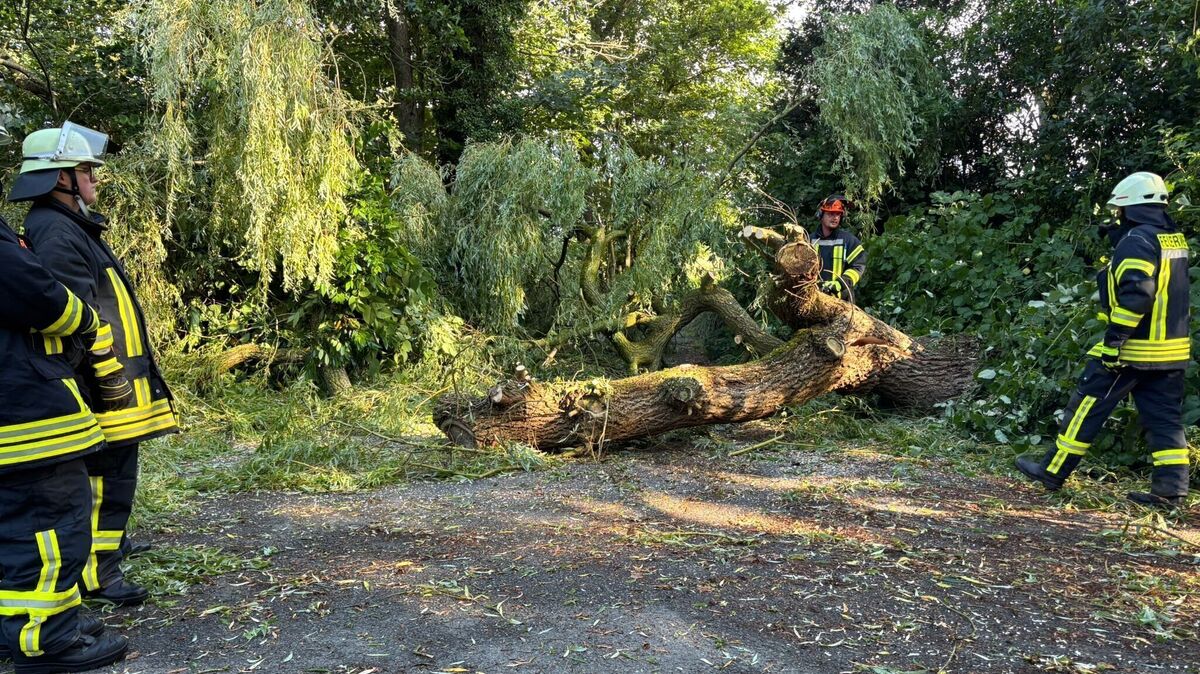 Eine Pflegekraft vom Pflegedienst alarmierte die Feuerwehr, weil der Zugang zum Haus ihres Patienten komplett durch einen umgestürzten Baum versperrt war. Foto: Jürgen Lange