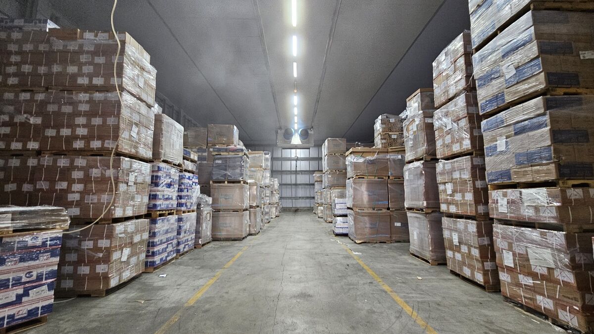 Ein womöglich eher unspektakulärer Anblick - aber umso wichtiger für unsere Nahrungsmittelindustrie. Einer der Kühlräume der Firma Gooss in Otterndorf. Während der Lagerarbeiten steigt die Lufttemperatur leicht auf etwa Minus 18 Grad Celsius. Foto: Rahn
