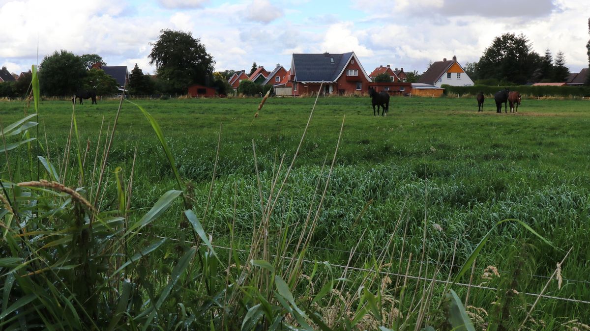 Die Weidefläche am Liebesweg ist ein Stück Naturidylle mitten in Otterndorf. Die CDU/FDP-Gruppe im Stadtrat hat vorgeschlagen, dieses Areal zu kaufen und für die Bürgerinnen und Bürger zu öffnen. Die SPD lehnt den Antrag ab. Foto: Mangels