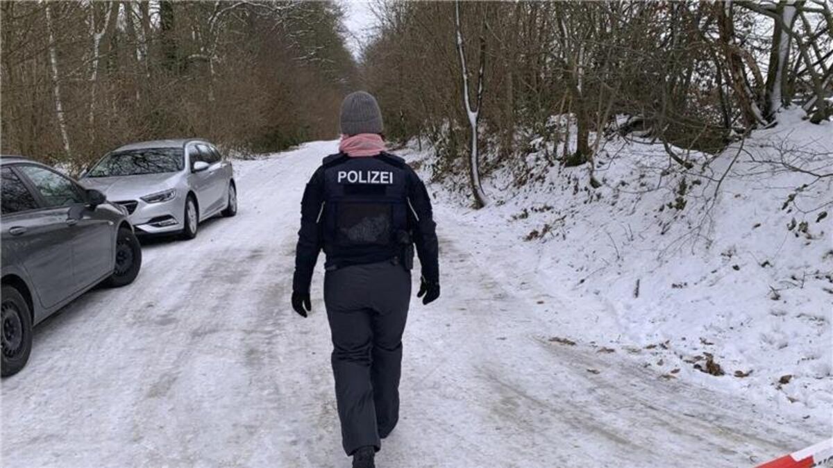 Mit Unterstützung der Landespolizei sucht die Cold Case Unit des LKA Schleswig-Holstein seit Dienstag in einem Wald bei Neumünster nach dem Leichnam des seit 2014 vermissten Horst Georg Linnemann. Foto: LKA Schleswig-Holstein