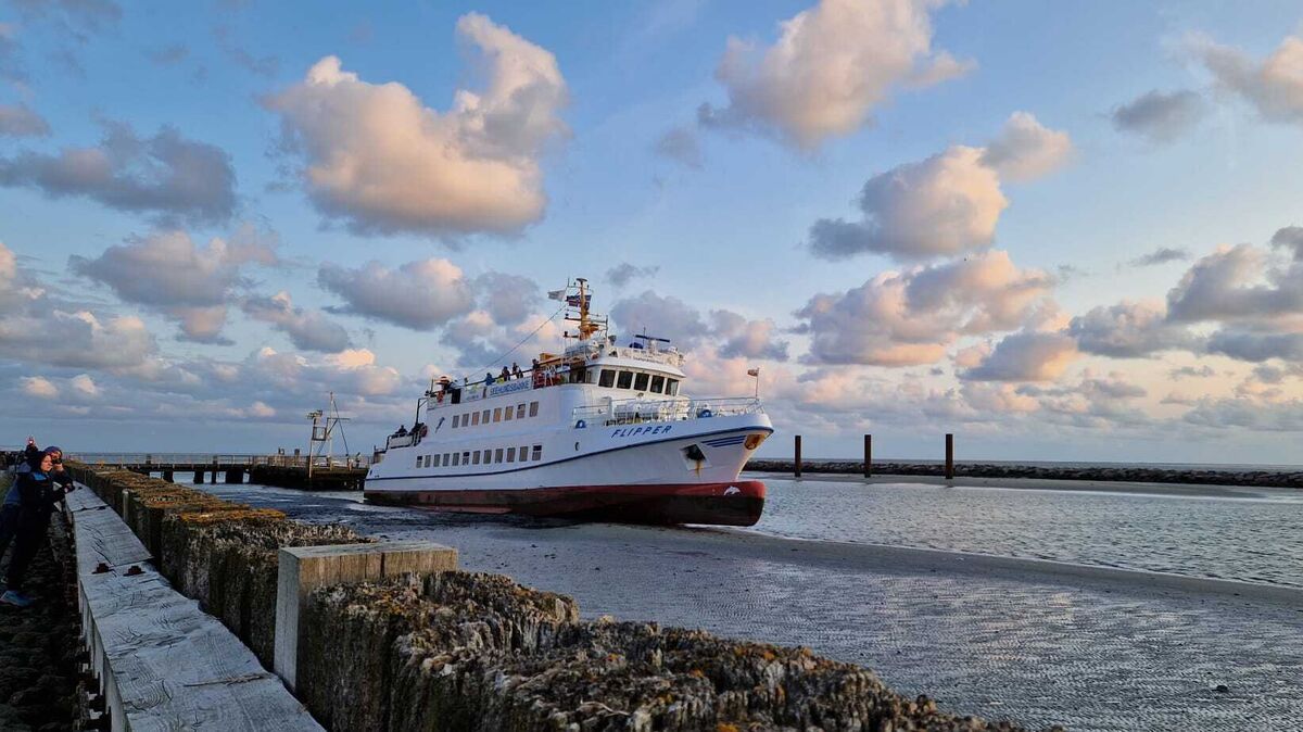Kurz nach Ablegen steckte MS "Flipper" auf einer Sandbank vor Neuwerk fest. Foto: Larschow