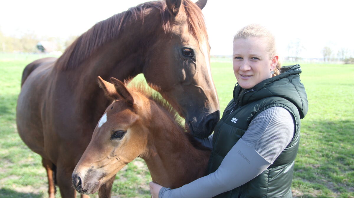 Kerstin Mahler und das viel zitierte Glück der Erde: Die 33-Jährige aus Neuhaus ist die neue Vorsitzende des Hadler Hauptpferdezuchtvereins. Foto: Grewe