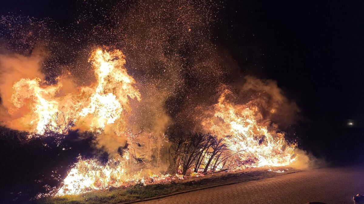 Auf einer Länge von etwa 30 Metern brannte beim Eintreffen der ersten Einsatzkräfte eine etwa drei Meter hohe Naturhecke lichterloh. Foto: Lange