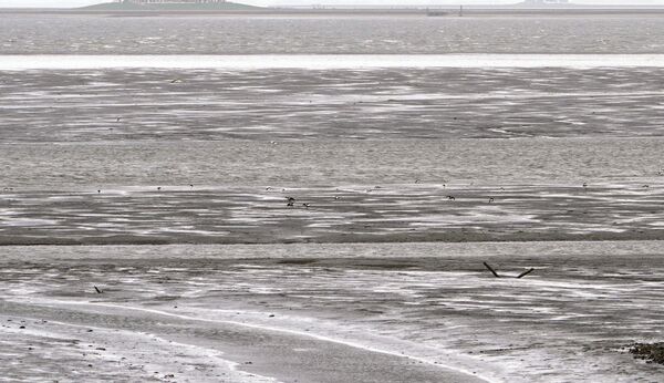 Nach Polizei-Aufruf: Toter im Wattenmeer wurde identifiziert