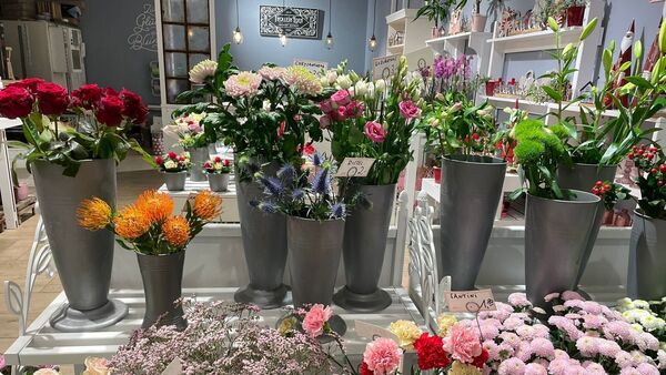 Blumenhandel aus Oberndorf: Insolvenz bedroht zwölf Filialen und Arbeitsplätze