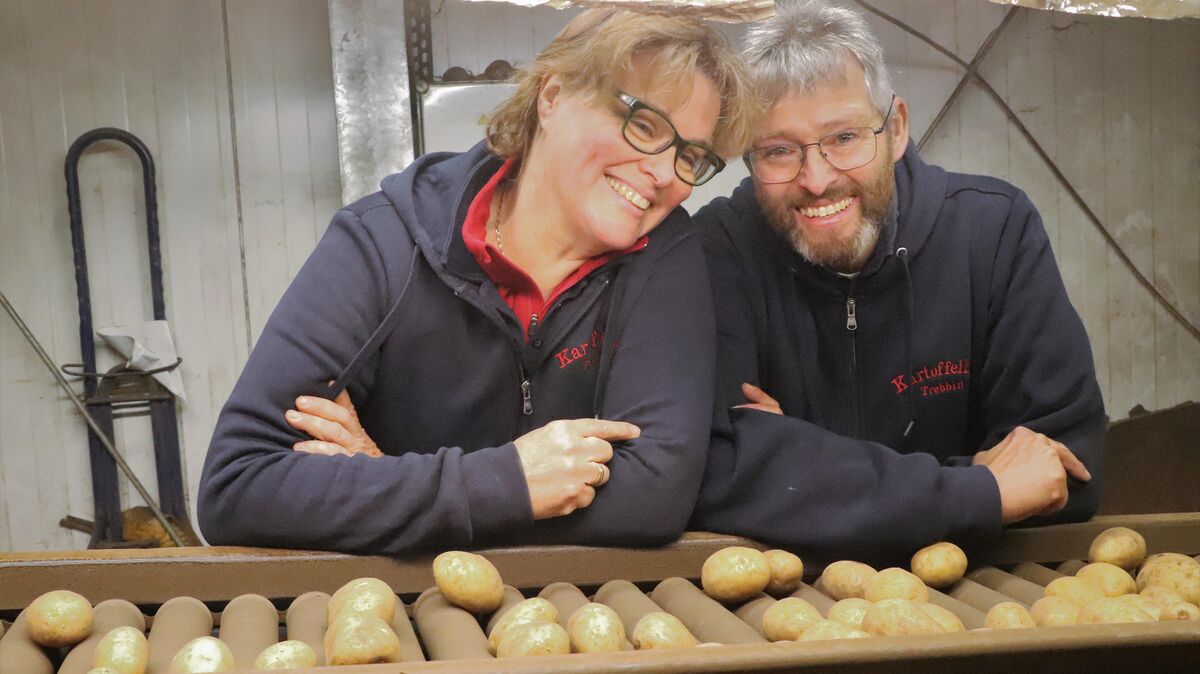 Mehrere Stunden täglich stehen Susanne und Rainer Trebbin am Sortierband in ihrer Kartoffelhalle - mal zusammen, mal sortiert jeder für sich alleine. Hier braucht es volle Konzentration, aufmerksame Augen und schnelle Hände. Foto: May