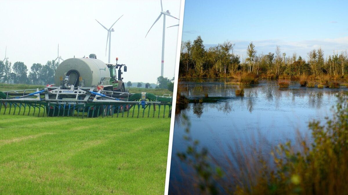 Landwirtschaft und Klimaschutz müssen kein Widerspruch sein, ist der Bauernverband überzeugt. Foto: Djuren/Izabella Mittwollen