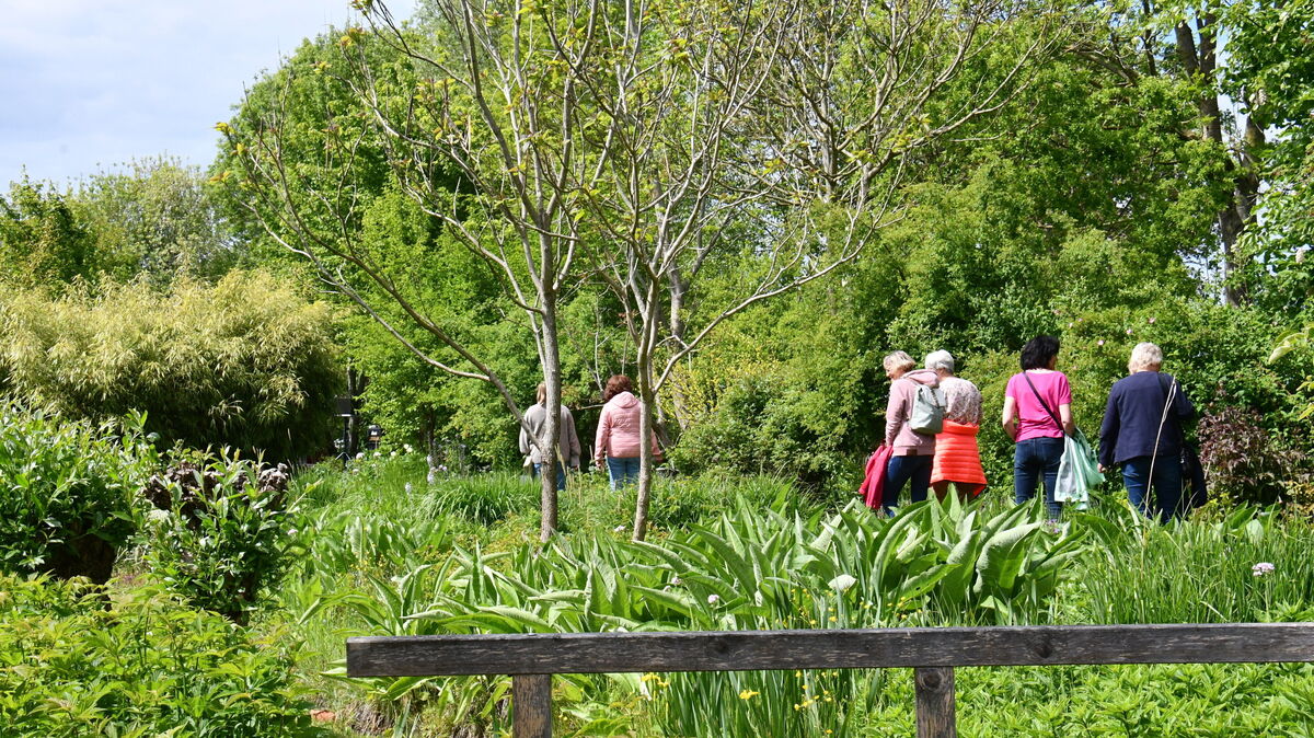 Einfach mal die Seele baumeln lassen: Das war am Sonntag in Odisheim möglich. Foto: Egbert Schröder