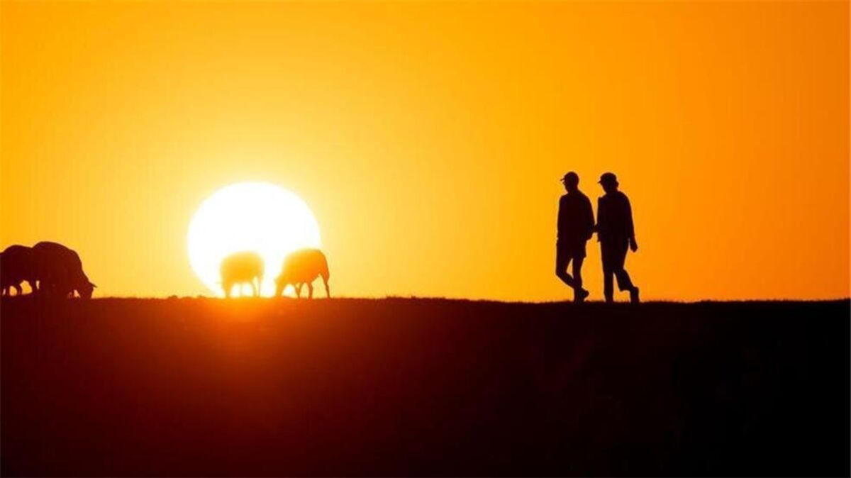 Das Wetter schenkt den Norddeutschen gerade noch einmal richtig schöne spätsommerliche Tage. Foto: Daniel Reinhardt/dpa