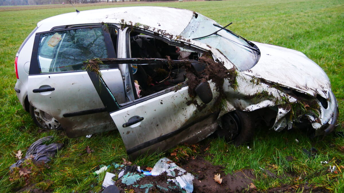 Nachdem der Fahrer mit seinem Auto zwei Bäume touchiert hat, überschlägt sich der Wagen und kommt auf den Rädern auf einer Wiese zum Stehen. Foto: Lange