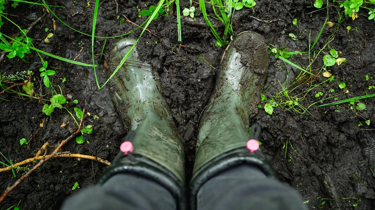 Kein leichtes Terrain: Auch in Moorgegenden des Landkreises Cuxhaven wird Landwirtschaft betrieben. Um bei dem geplanten Projekt zur Wiedervernässung von land- und forstwirtschaftlich genutzten Moorflächen eine belastbare Grundlage zu haben, fordern Landwirte deutliche Nachbesserungen. Ansonsten ziehen sie ihre freiwillige Projektunterstützung zurück. Unterstützung erhalten sie vom Kreistag. Foto: Patrick Pleul/dpa