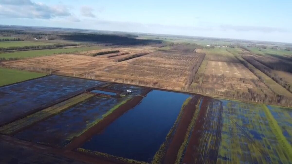 Das Wiedernässungsprojekt im Ahlen-Falkenberger Moor, aufgenommen am 11. Januar 2025. Foto: Timo Helpach