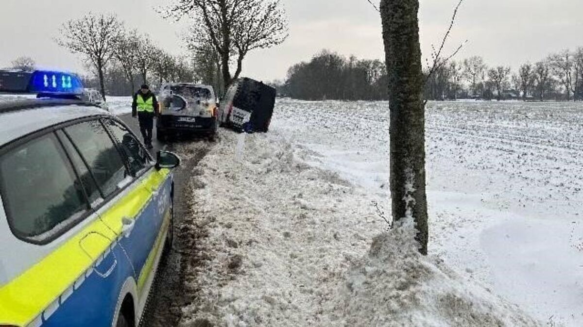 Der beschädigte Transporter kam nach einem Ausweichmanöver von der Fahrbahn ab und prallte gegen einen Baum. Foto: Polizei Cuxhaven