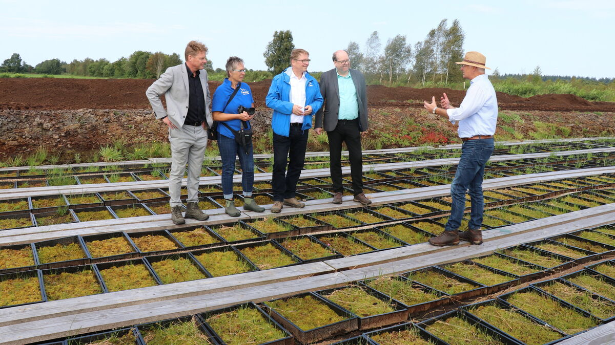 Das Nabu-Moorschutzprojekt hat Fahrt aufgenommen. Davon hat sich Niedersachsens Umweltminister Christian Meyer (2.v.r.) bei einem Besuch im Ahlenmoor überzeugt. Begleitet wurde er unter anderem von Gramoflor-Chef Josef Gramann (r.), Holger Buschmann vom Nabu Niedersachsen (l.), Ursel Richelshagen von der Nabu-Gruppe Land Hadeln (2.v.l.) und dem Nabu-Präsidenten Jörg-Andreas Krüger (3.v.l.). Foto: Mangels
