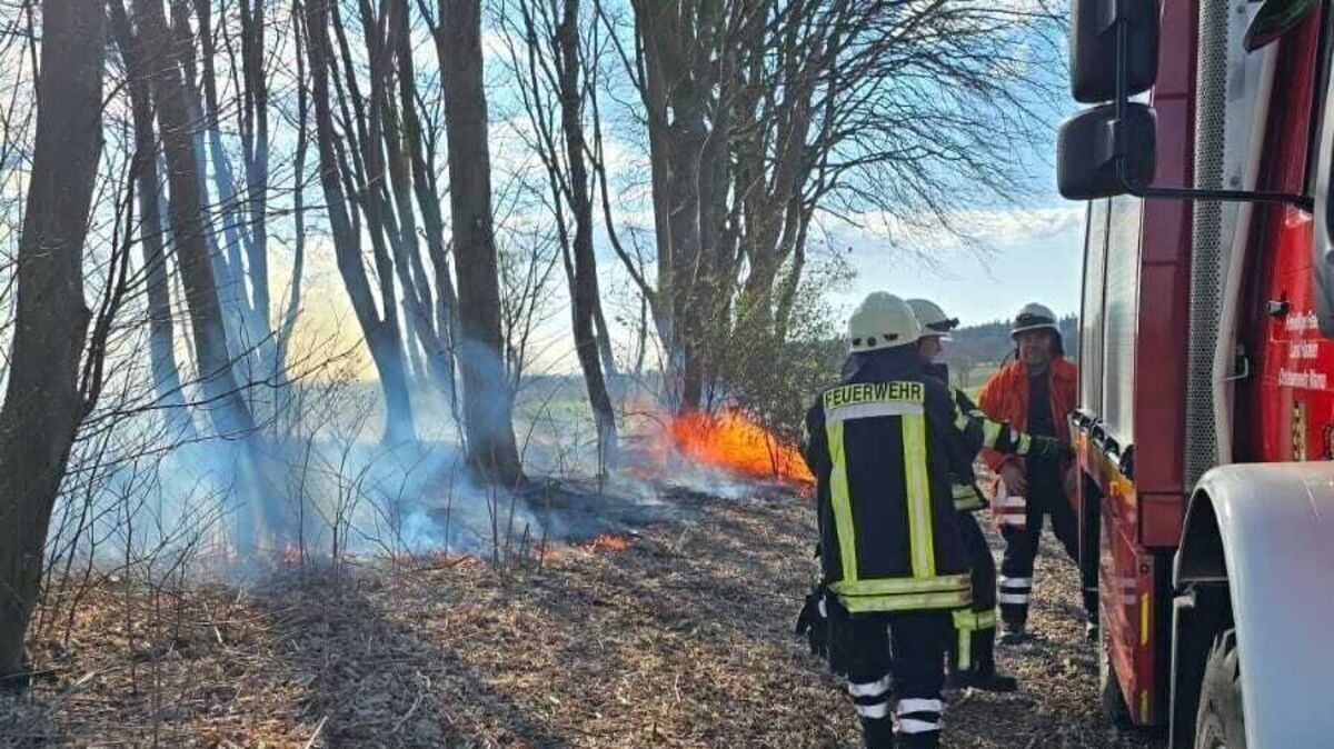 Beim Eintreffen der Einsatzkräfte hatten die Flammen bereits auf Bäume übergegriffen. Foto: Feuerwehr