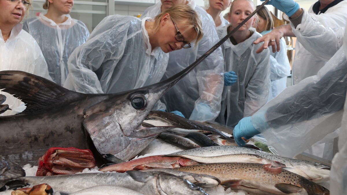 Das Institut für Fische und Fischereierzeugnisse (IFF) in Cuxhaven ist ein wichtiges Fachinstitut. Es zählt bundesweit zu den führenden Zentren für die Untersuchung von Fisch und Fischereierzeugnissen. Archivfoto: Koppe