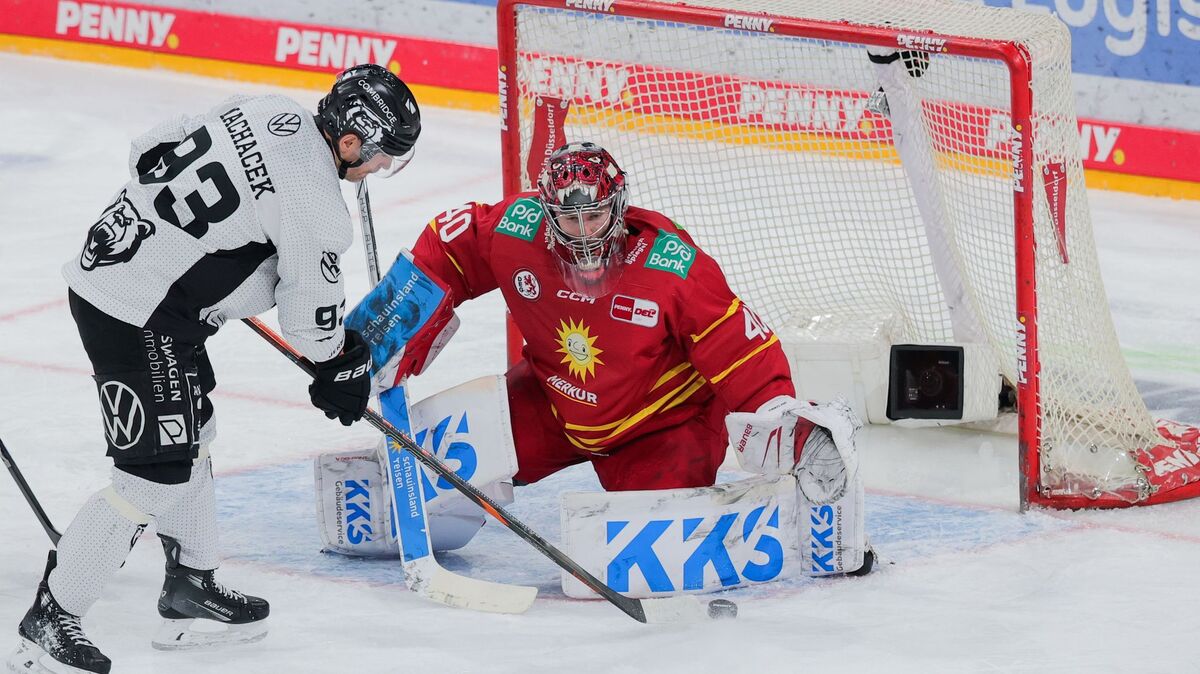 Rolf Vennenbernd/dpa