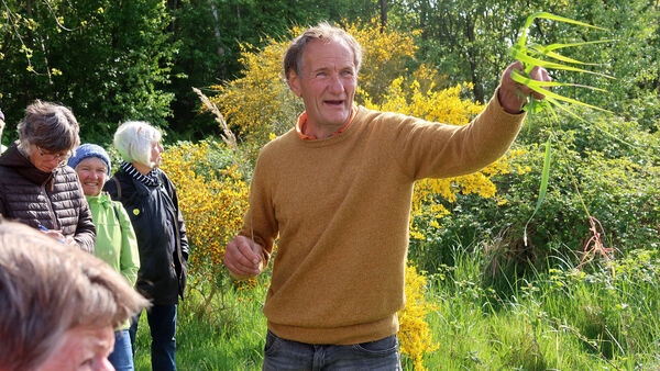 Jürgen Feder begeistert am Strand von Cuxhaven: Botanik und Sprüche-Feuerwerk