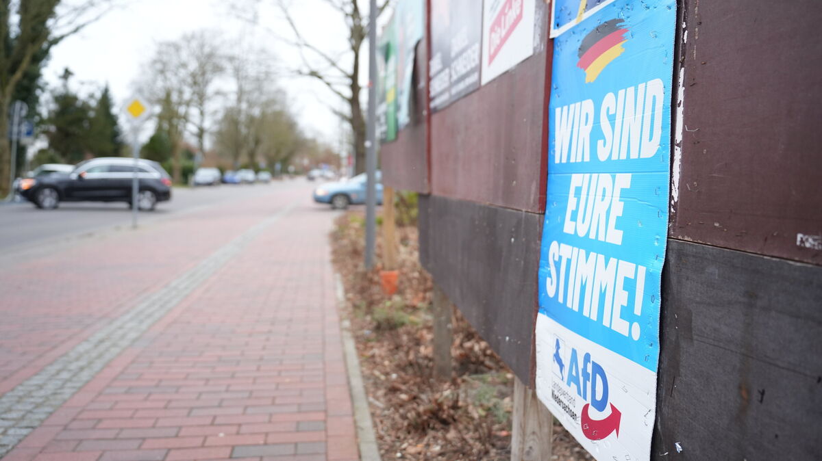 AfD-Wahlplakat in Hemmoor: Die Partei erreichte bei der Bundestagswahl hohe Zustimmungswerte in der Region. Foto: Keck