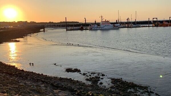 Aufregung um Hafenprojekt in Cuxhaven: Anonymes Flugblatt heizt Debatte an