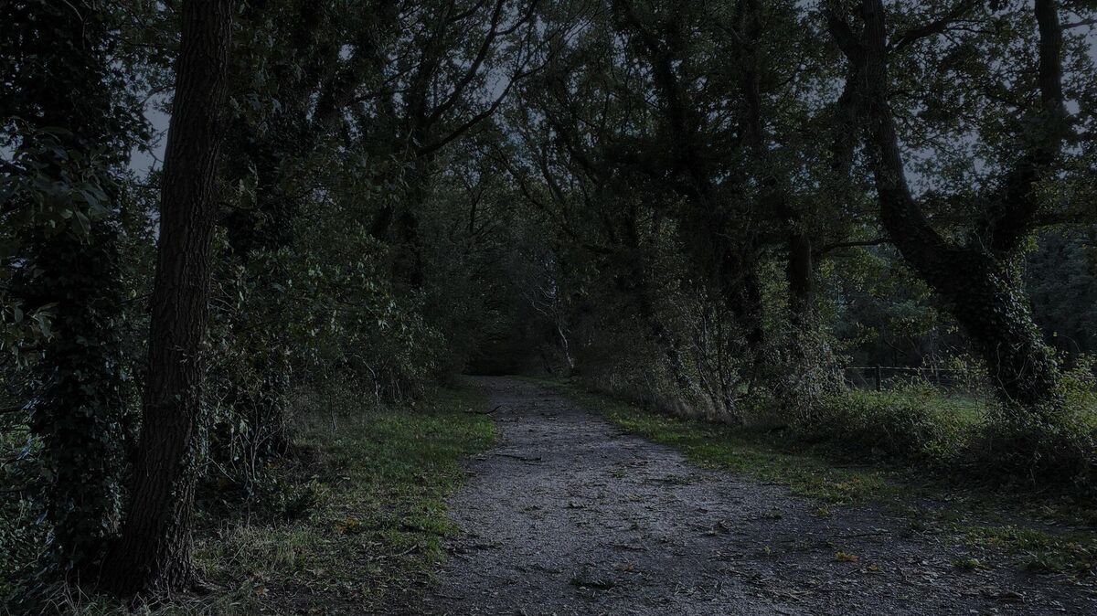 Nicht auf direktem Wege fuhr Kurt-Werner Wichmann mit den beiden Anhalterinnen nach Cuxhaven. Erst ging es geht über einen von Bäumen gesäumten Feldweg wie diesen. Zwischen Altenwalde und Cuxhaven gibt es davon einige. Foto: Döscher