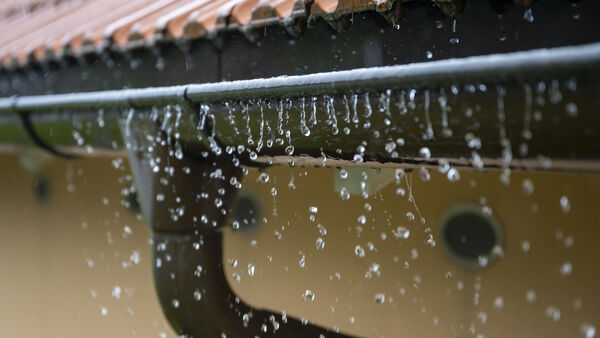 "Reparatur" an der Dachrinne: Falsche Handwerker knöpfen Senior in Cadenberge Geld ab
