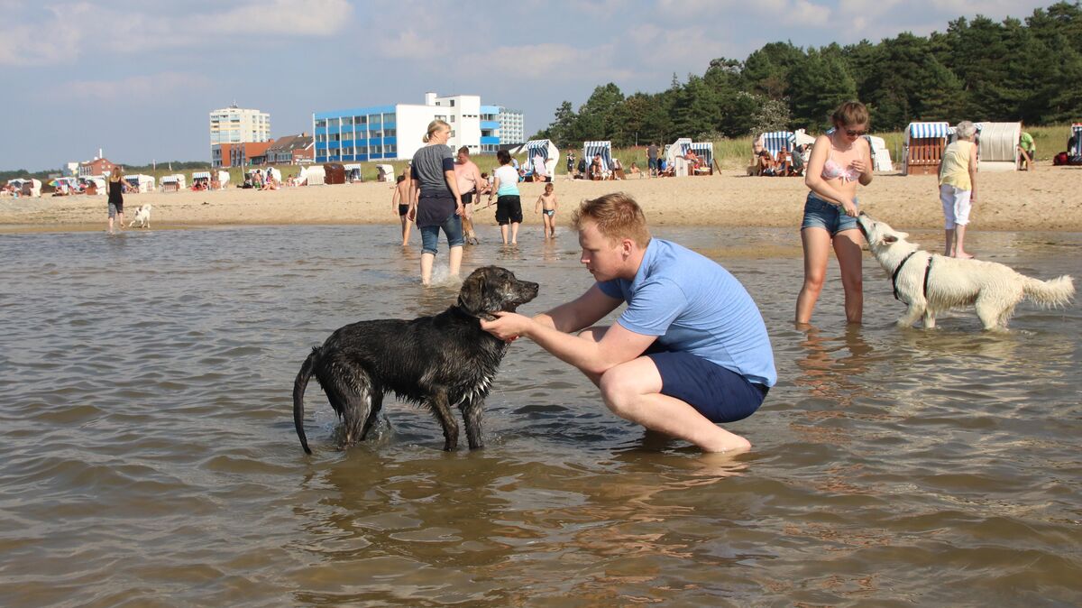 Top: Am Hundestrand Sahlenburg gibt es Abkühlung für Hund und Halter. Foto: Koppe
