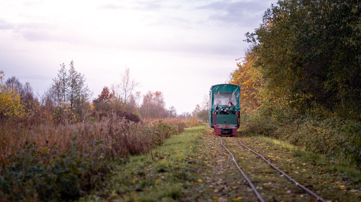 Zugpferd des Moorinformationszentrums in Wanna-Ahlenfalkenberg ist die Moorbahn. Rund 12.000 Fahrgäste gingen im vergangenen Jahr an Bord. Foto: Matzke