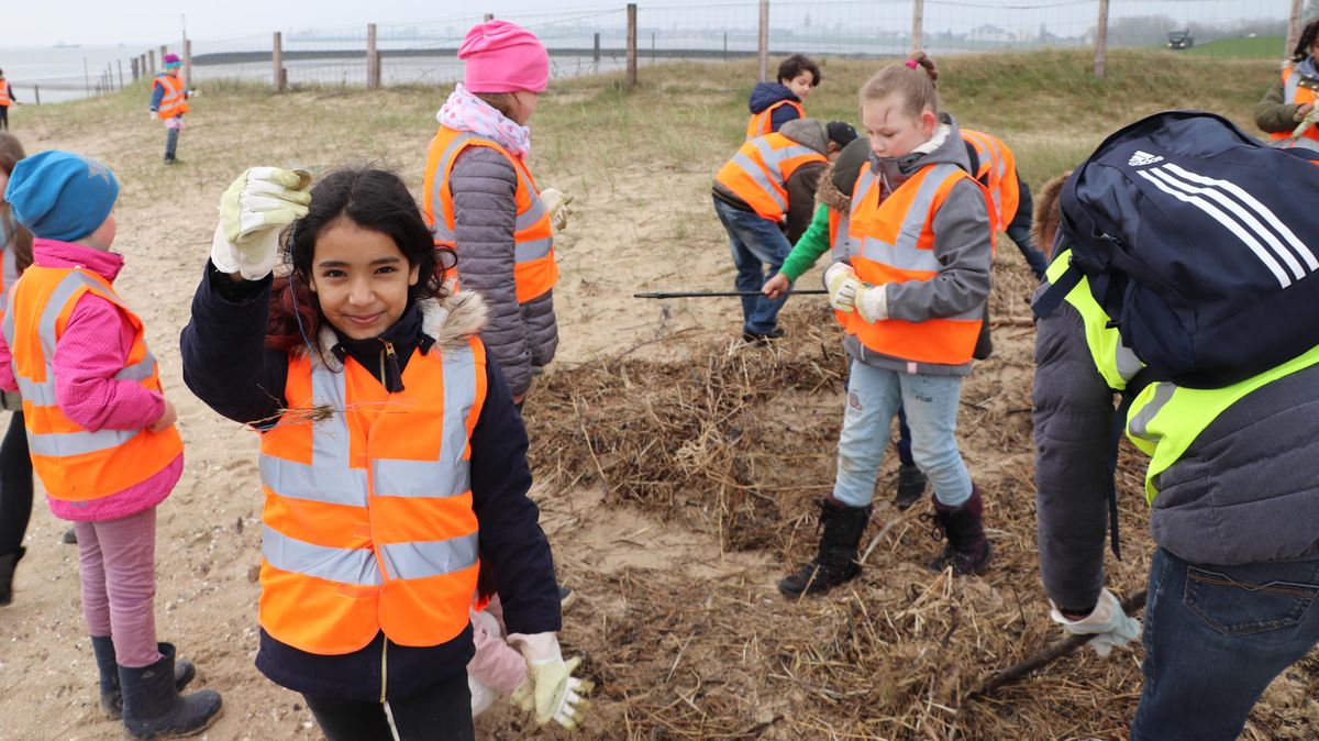 Man muss schon genau hinschauen, um die kleinen Reste von Fischnetzen aufzuspüren. Am Döser Strand fanden die Schüler einige. Foto: Tiedemann