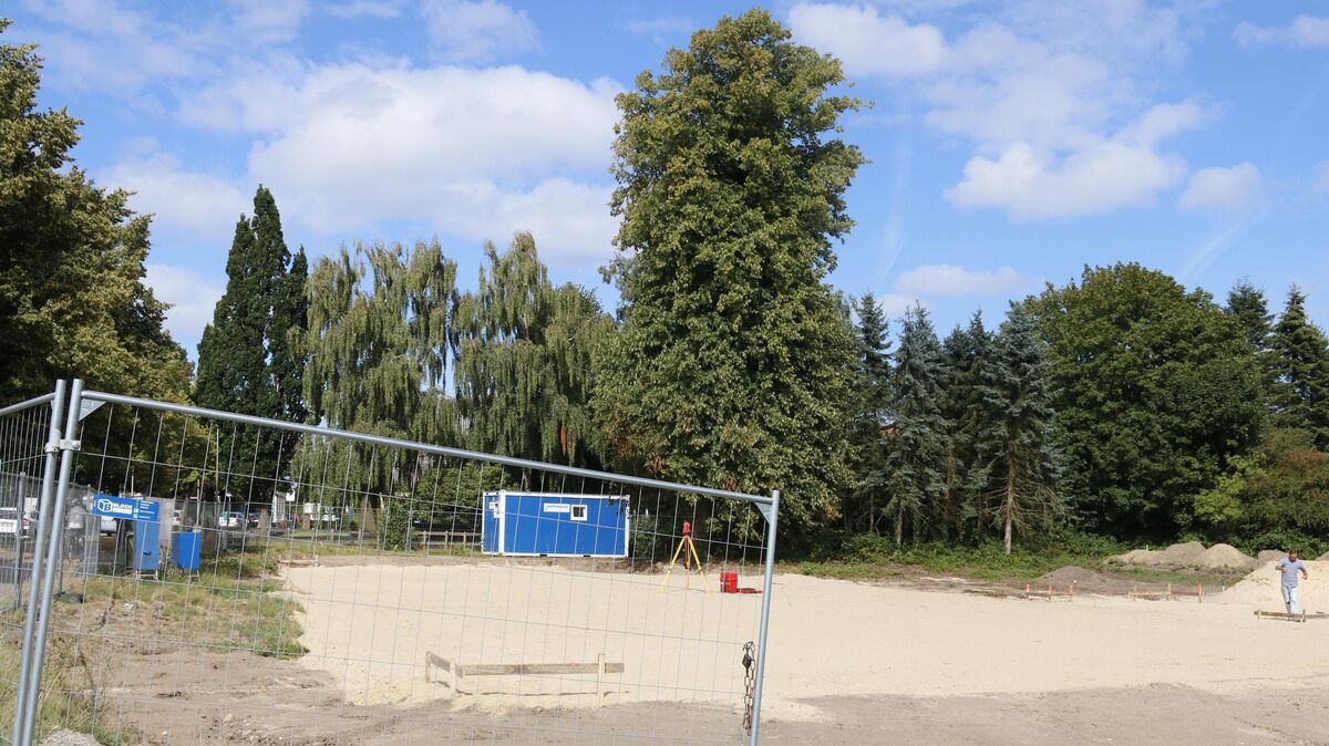 Die Tage dieser mehr als einhundert Jahre alten Linde sind möglicherweise gezählt. Nach Auskunft der Stdatverwaltung befindet sich der Baum innerhalb eines Baufensters, in welchem neuer Wohnraum entstehen soll. Foto Koppe