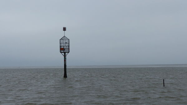 Watt-Einsatz vor Cuxhaven: Vier Menschen und zwei Hunde in Not