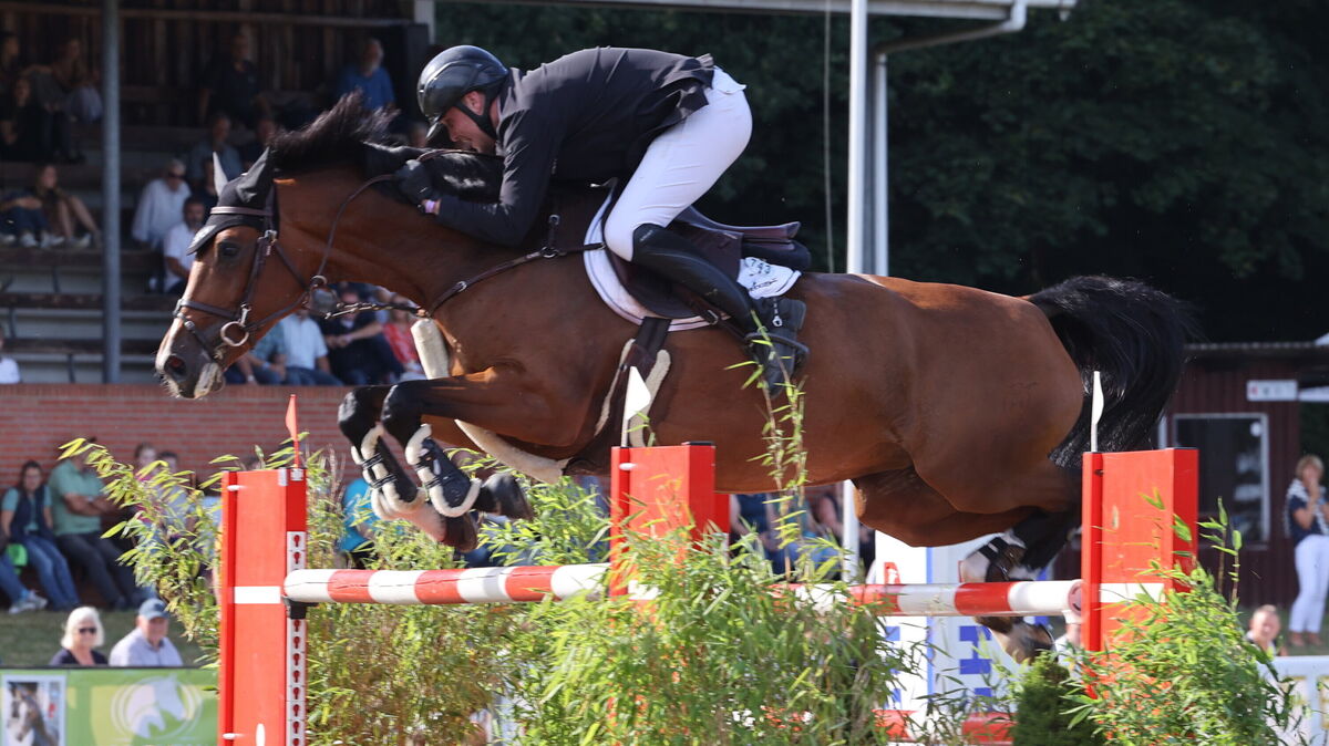 Guido Klatte Jun. und seine Holsteiner Stute Caya beim letzten Hindernis im Stechen des Großen Preises des Landkreises Cuxhaven. Dieser Sprung sicherte ihnen den Sieg in der schweren S***-Springprüfung. Foto: Rohde