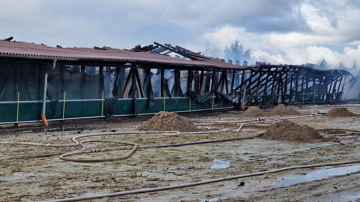 Zwei Tage nach dem Feuer hätte das Geflügel untergebracht werden sollen. Foto: Larschow