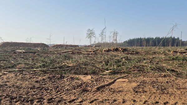 Bauarbeiten am Deichbrand-Gelände: Fans müssen längere Wege zum Infield einplanen