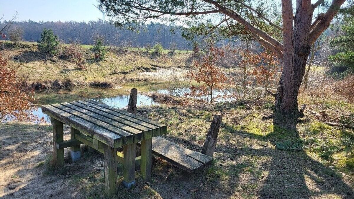Blick ins Ahlenfalkenberger Moor: Dieser Rastplatz könne eine Auffrischung vertragen. Der Erlös aus dem Wandertag „Marsch & Moor“ am 9. Mai soll unter anderem für solche Instandsetzungen aufgewendet werden. Foto: Förderverein Ahlenmoor