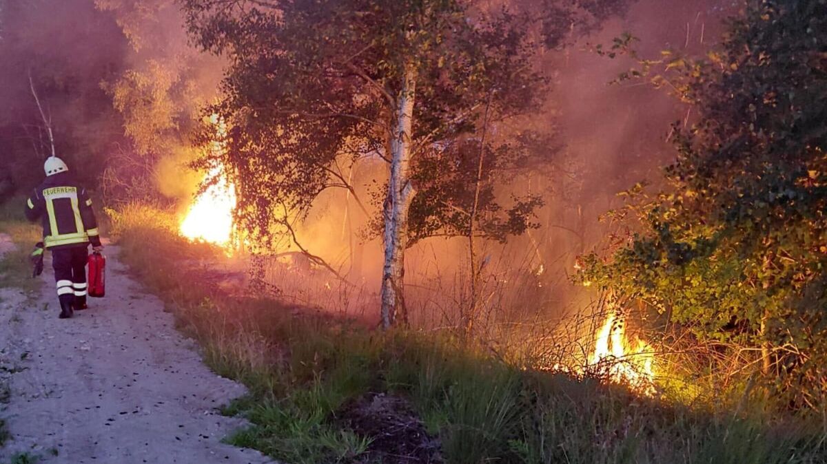 Die Feuerwehr bekämpft einen Flächenbrand im Aßbütteler Moor in Wanna. Rund 60 Quadratmeter Vegetation brennen. Foto: Feuerwehr